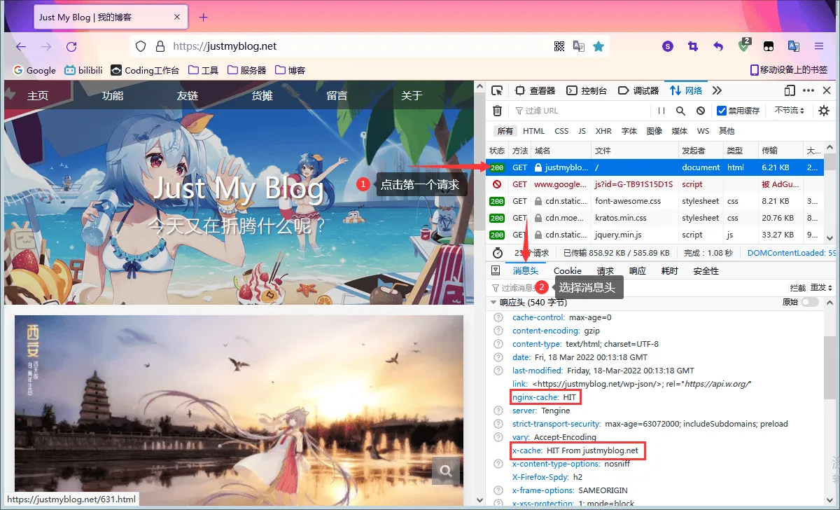 查看请求信息
